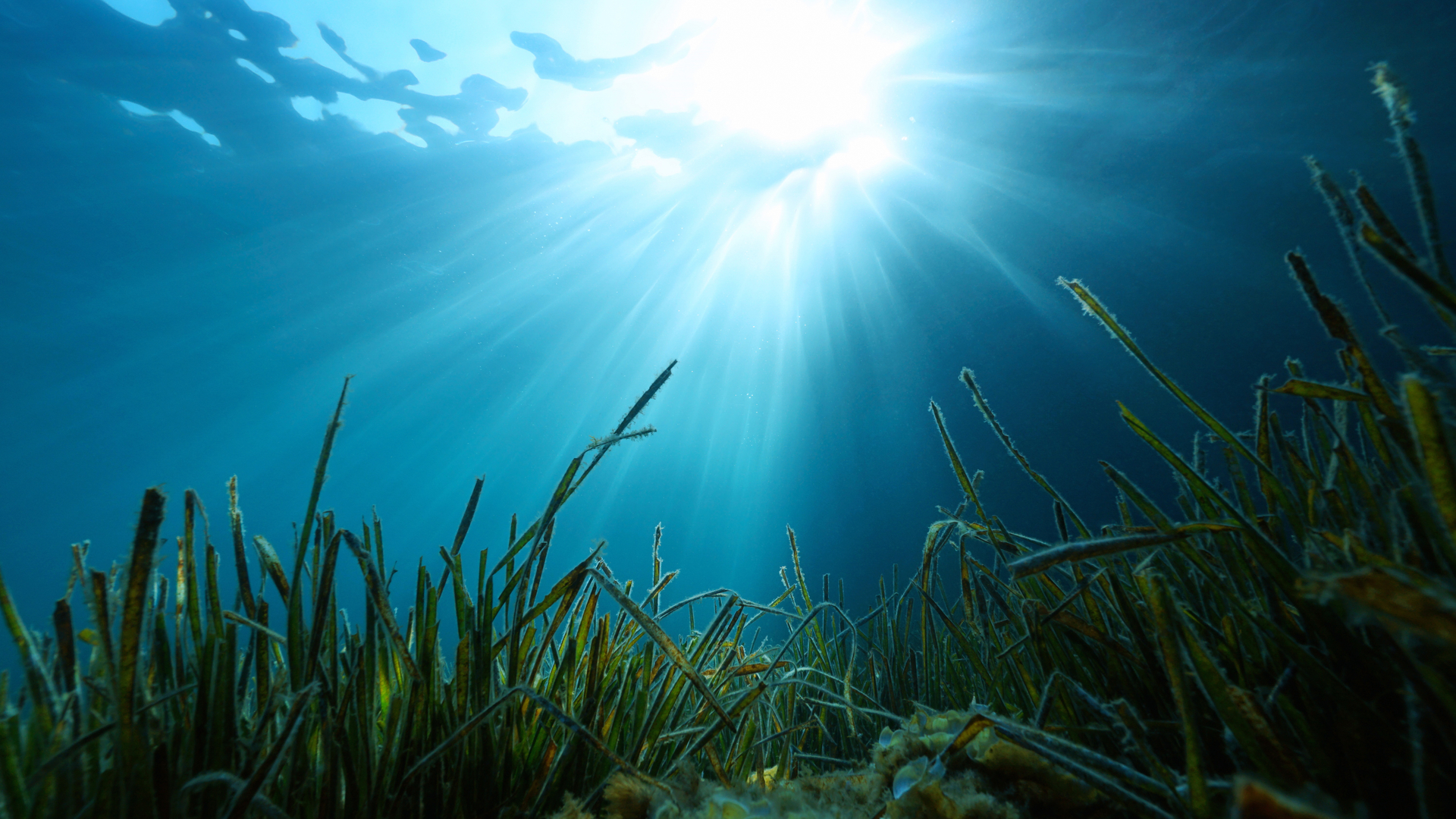 20220511 RW-GMC PHO 1532